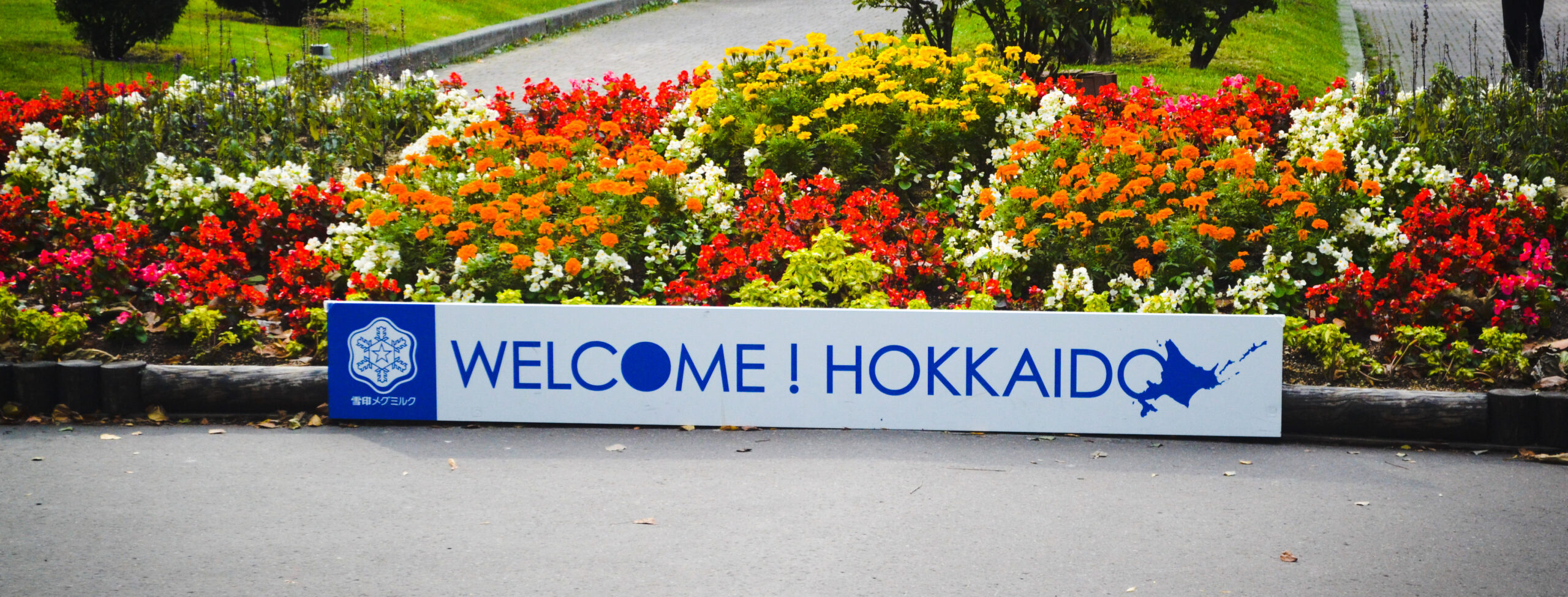 Greetings from Hokkaido, Japan