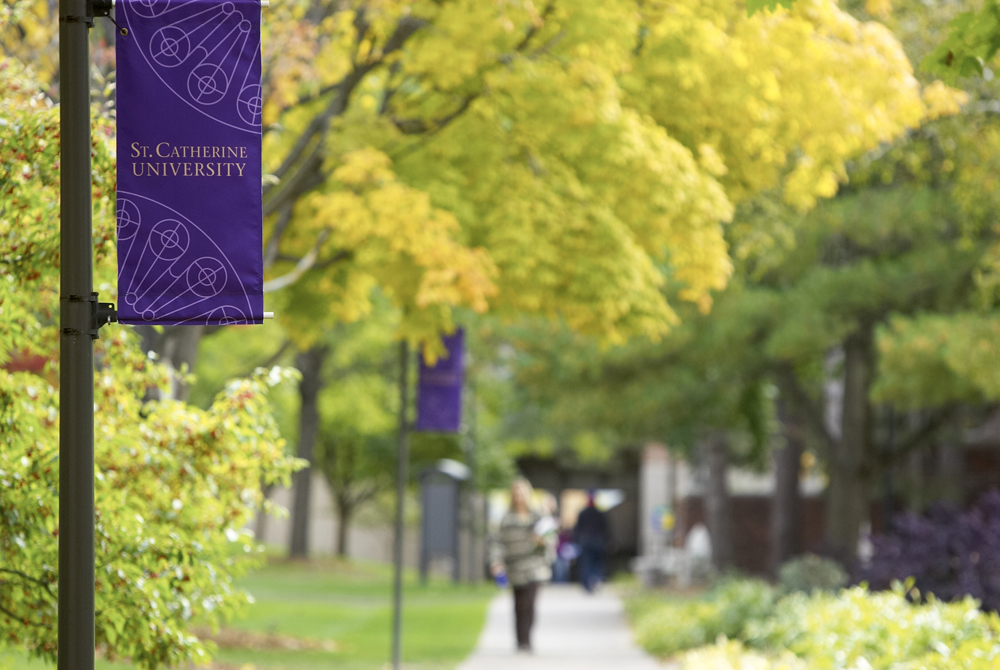 New Appointment: Visiting Assistant Professor at St. Catherine University